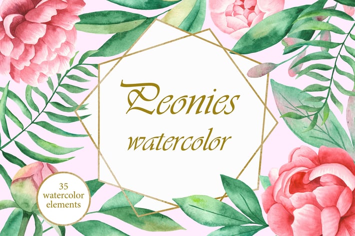 Watercolor Peonies flowers