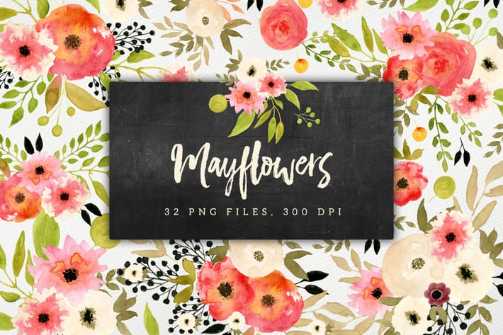 Mayflowers