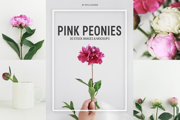 Pink floral peonies stock photo's