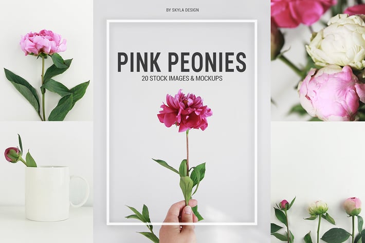 Pink floral peonies stock photo's