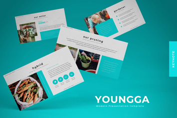 Youngga - Keynote Template
