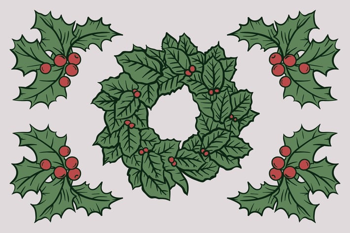 Christmas Autumn Berries Drawing