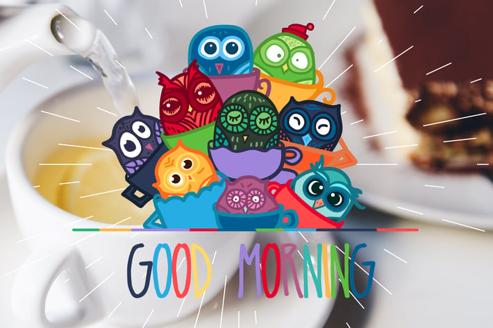 Owls Good Morning