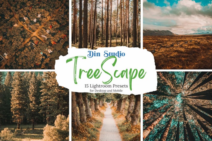Tree Scape Lightroom Presets