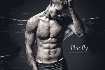 Fly Photoshop Action