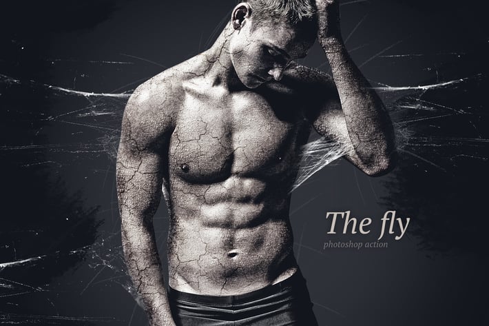 Fly Photoshop Action