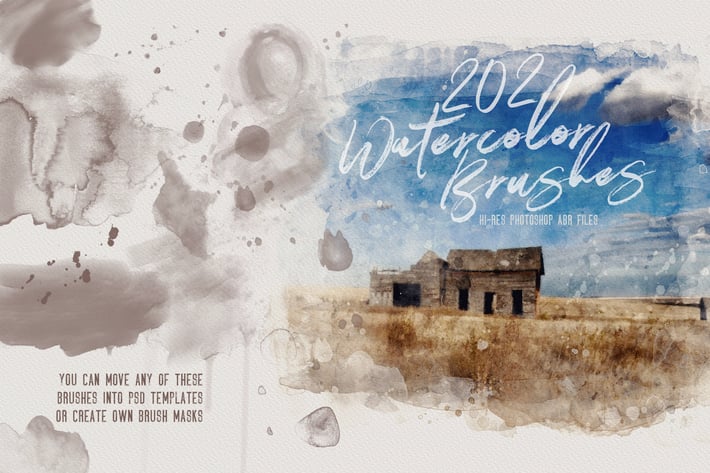 202 Watercolor Brushes
