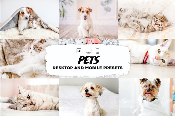 Pet Lightroom Presets