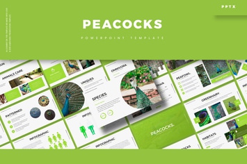 Peacoks - Powerpoint Template