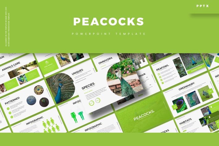 Peacoks - Powerpoint Template