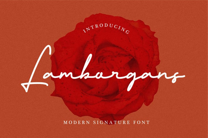 Lamborgans Signature