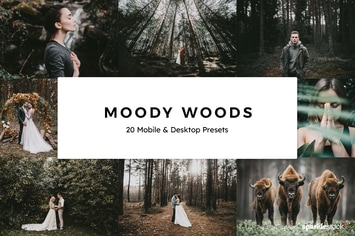 20 Moody Woods Lightroom Presets & LUTs