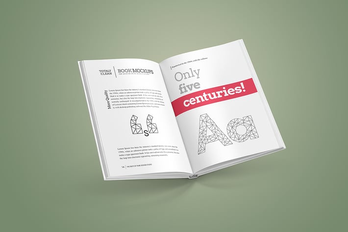 Book Mock-Up / Hardcover Edition