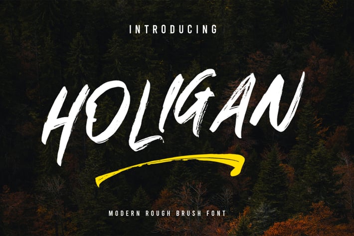 Holigan - Brush Font