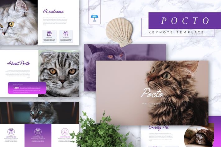 POCTO - Pet Service Keynote Template