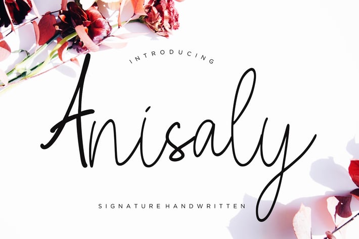 Anisaly Business Font