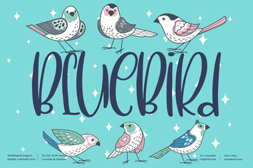 BlueBird Quirky
