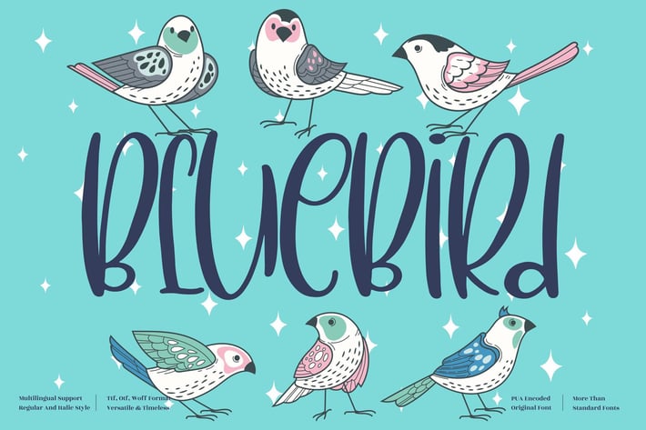 BlueBird Quirky