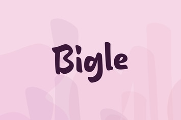 Bigle - Casual Typeface