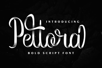 Pettora | Bold Script Font