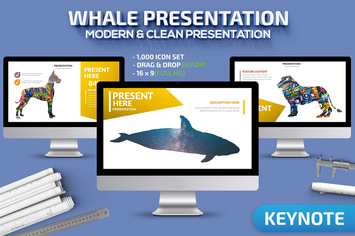 Whale Keynote Presentation Template