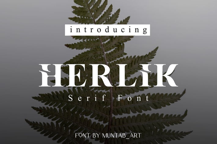 Herlik | Modern Serif Font