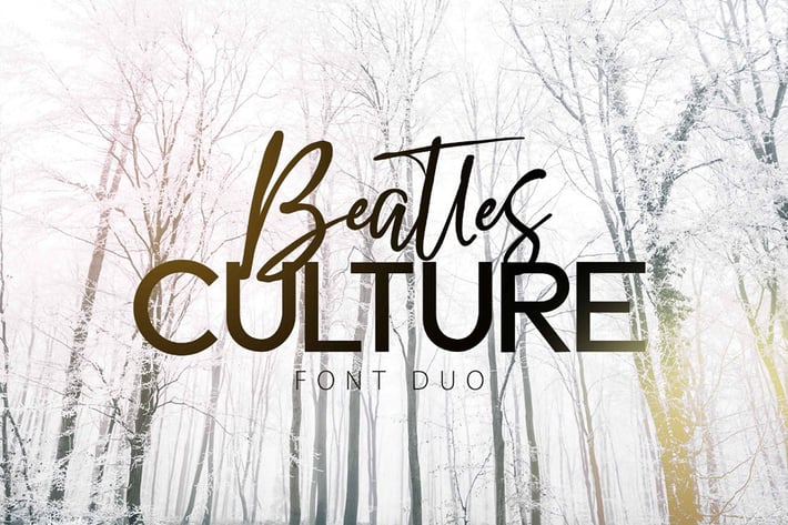 BEATLES CULTURE - Font Duo