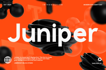 Juniper Modern Sans Display Font