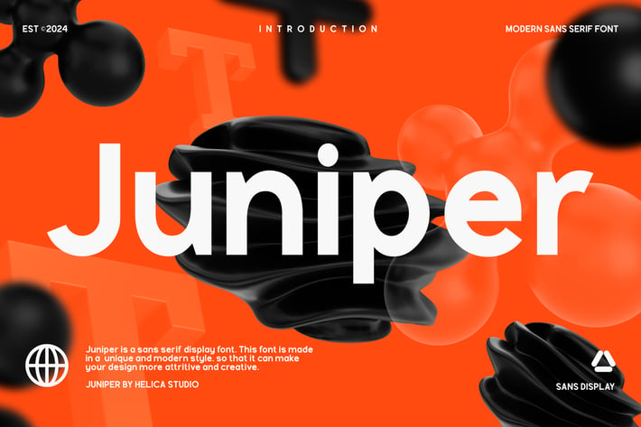 Juniper Modern Sans Display Font
