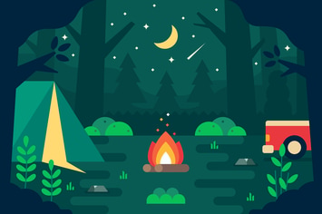 Campfire in The Forest at Night
