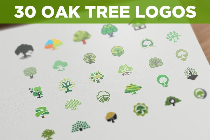 30 Oak Tree Logos