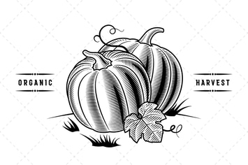 Retro Pumpkins Black And White