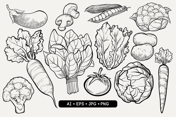 Hand Drawn Vegetables