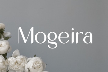 Modern Unique Sans Serif Display Font