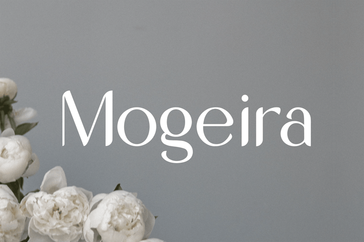 Modern Unique Sans Serif Display Font