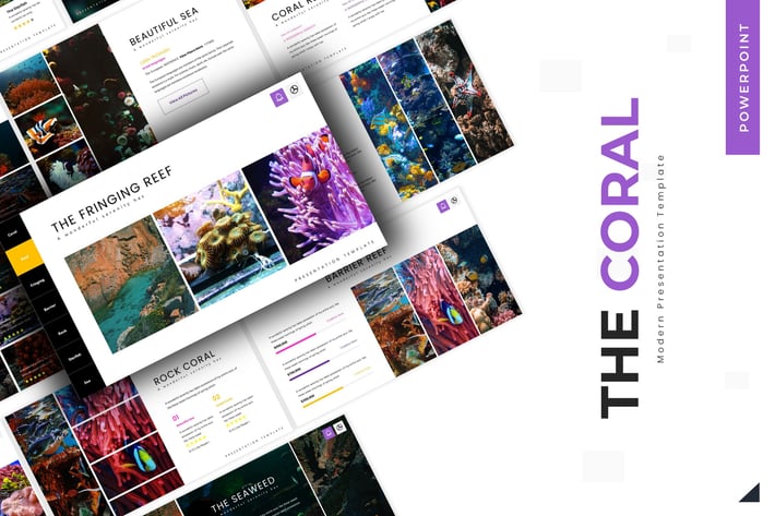 The Corals - Powerpoint Template
