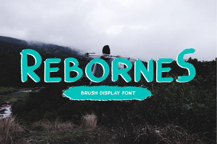 ReborneS