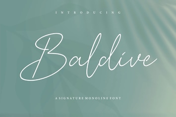 Baldive - Signature Monoline Logo Font