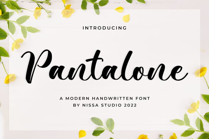 Pantalone - Bold Script