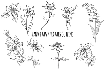 Floral Outline Hand Drawn