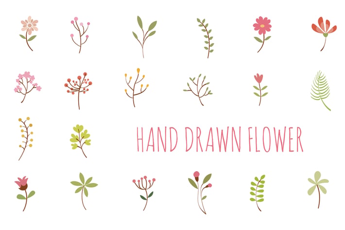 Flower Hand Drawn