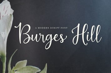 Burges Hill - Modern Script Font