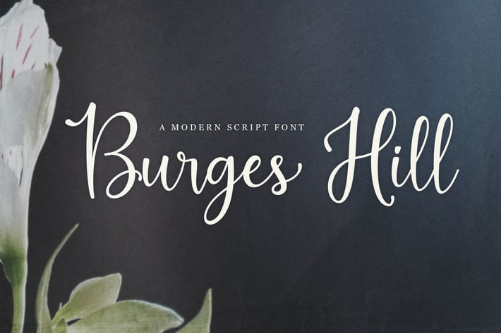 Burges Hill - Modern Script Font