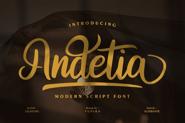 Andetia | Modern Script Font