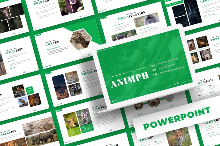 Animph - Powerpoint Template