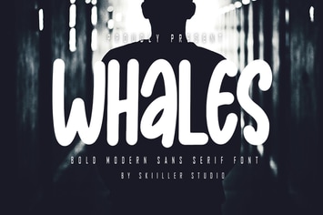 Whales - Bold Modern Sans Serif