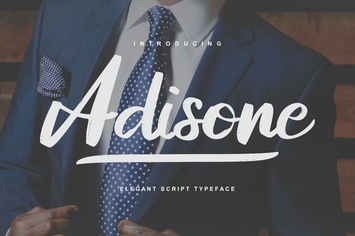 Adisone | Elegant Script Typeface