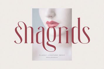 Snagrids - Classy Ligature Serif