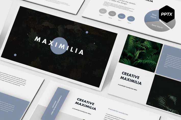 Maximilia - Powerpoint Template