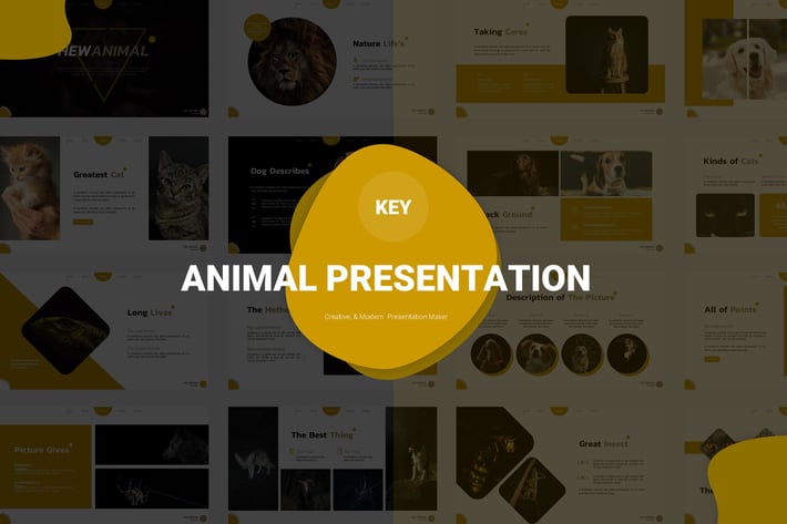 Hewanimal - Keynote Template